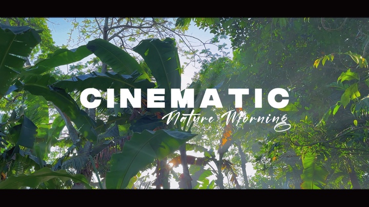 Cinematic Nature Aes (tradução)