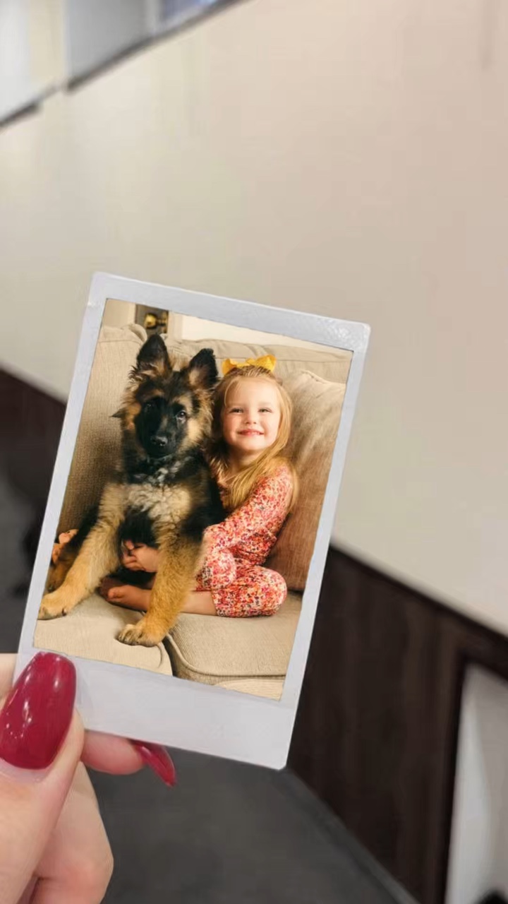 köpeğim