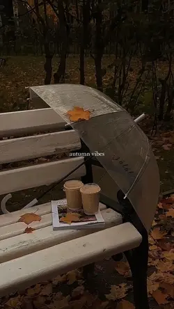 autumn vibes