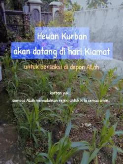 hewan kurban