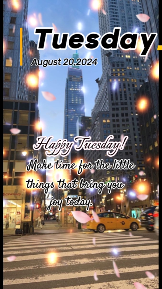 Happy Tuesday 