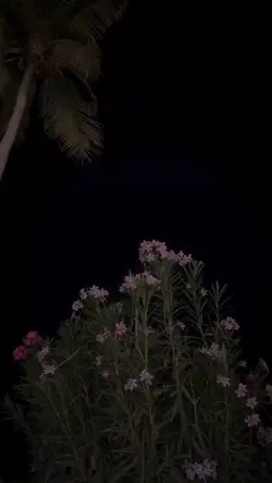 ياارب