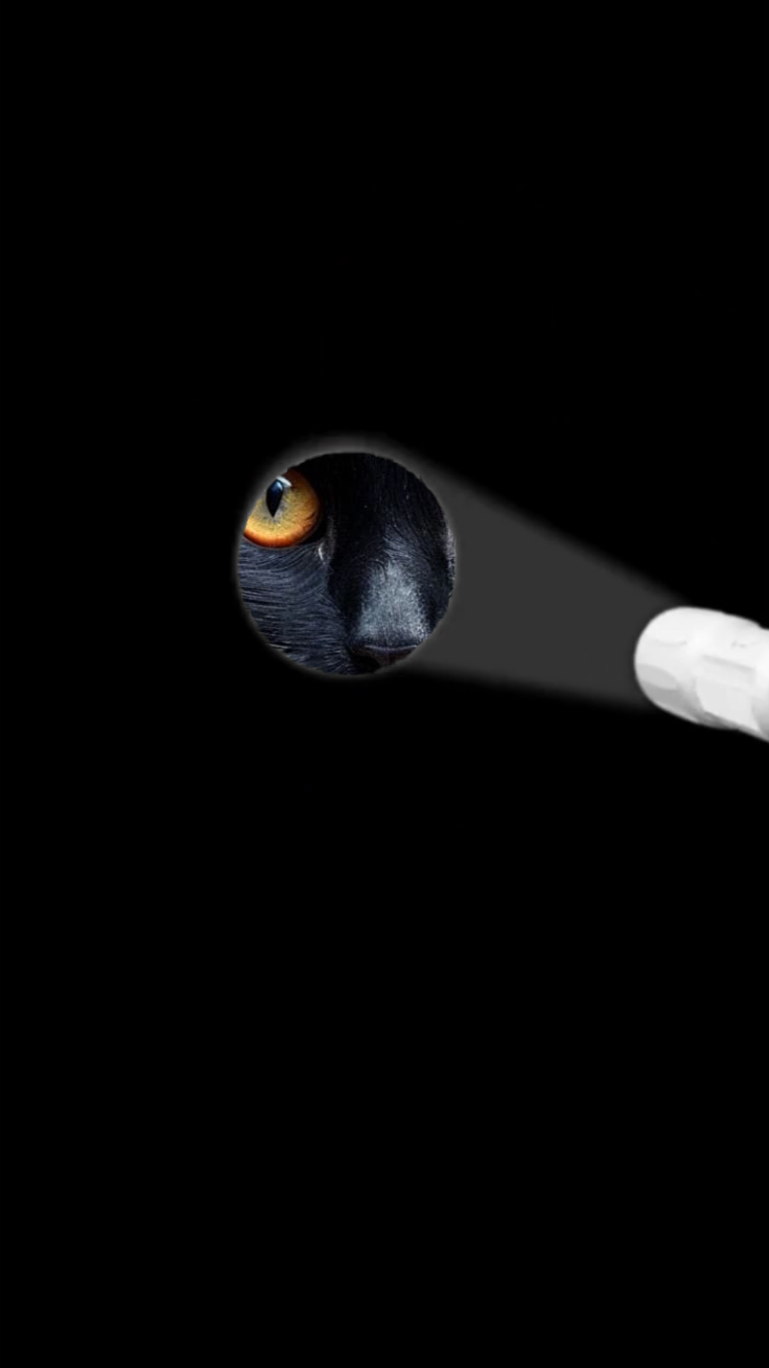 Flashlight