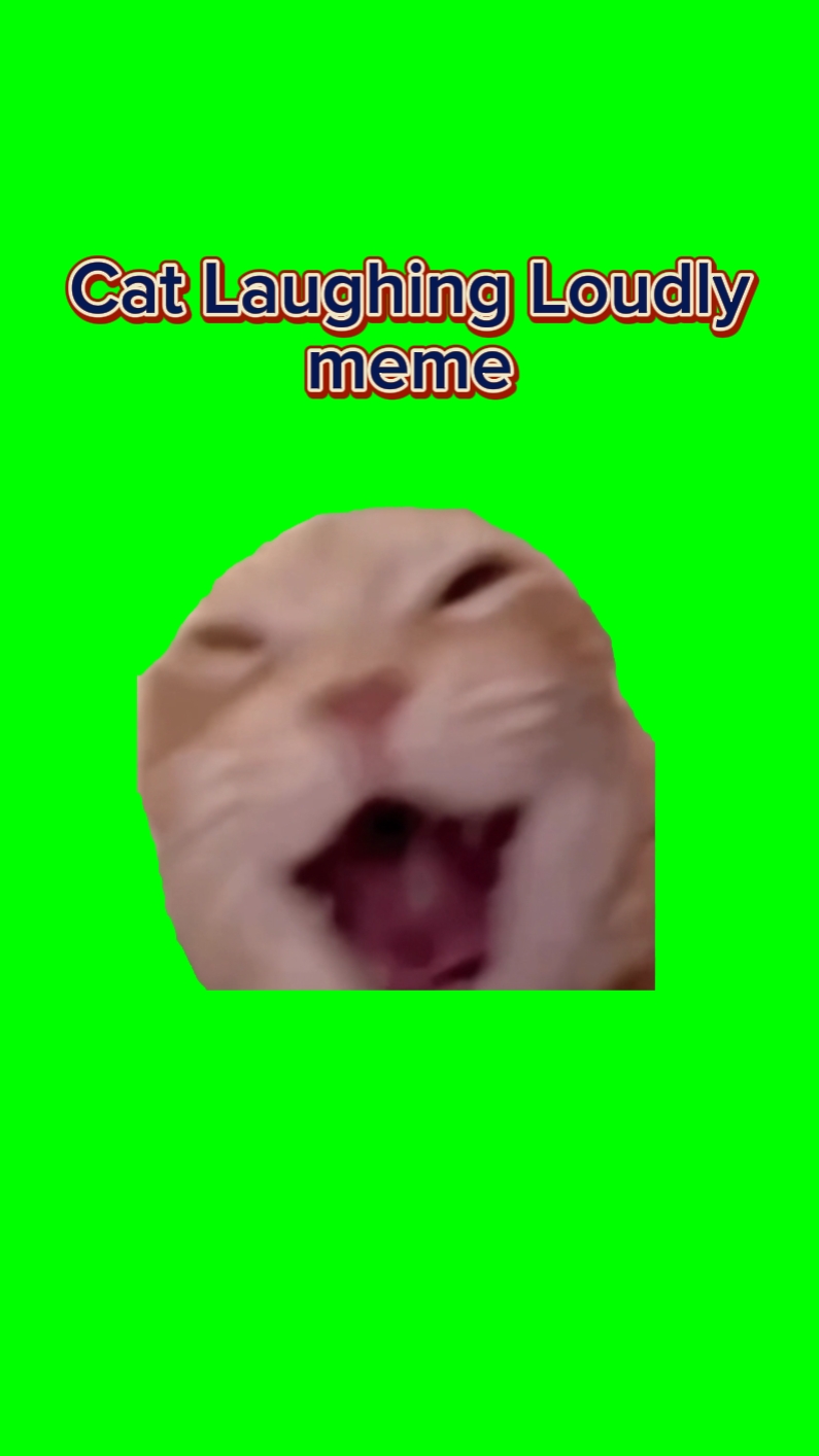 Gato Riéndose Fuerte