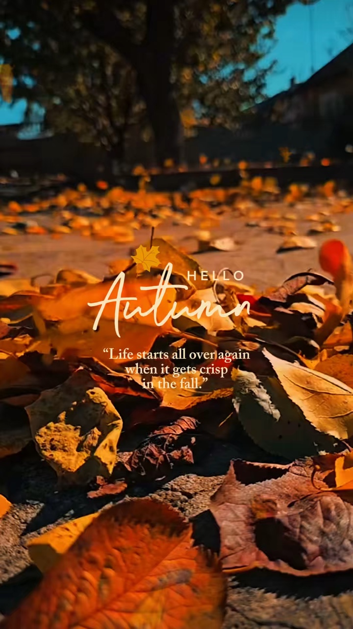 Hello Autumn 🍂