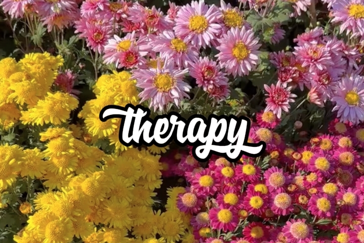 therapy
