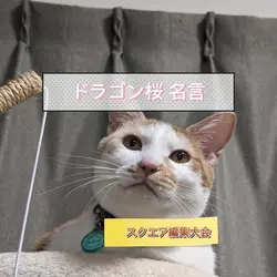 ドラゴン桜 名言