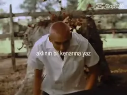 AOQŞıt
