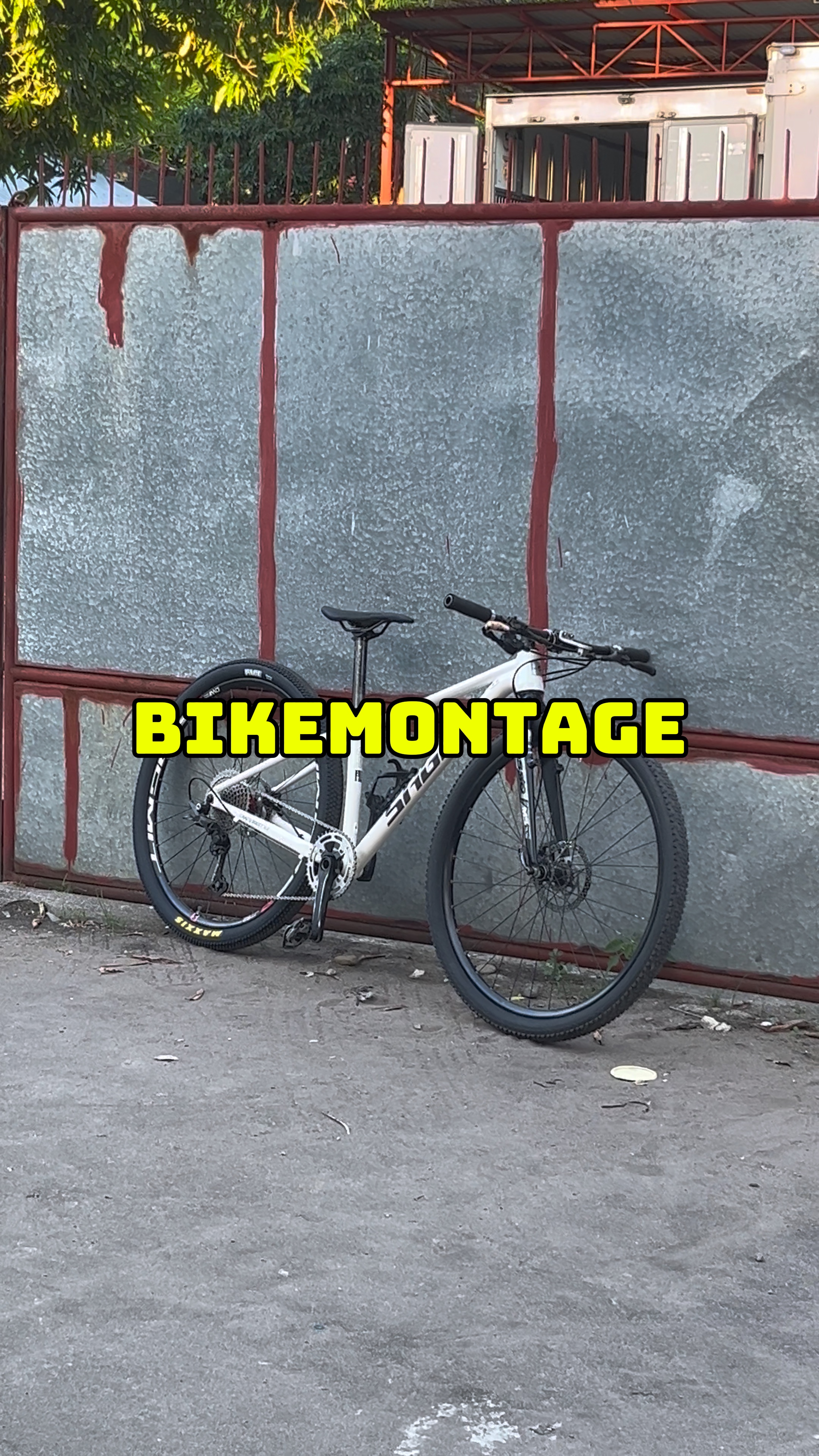 BIKE MONTAGE