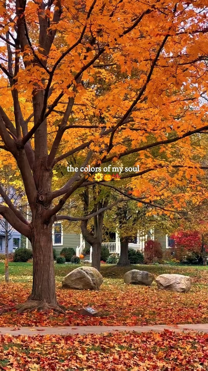 Autumn Vibes