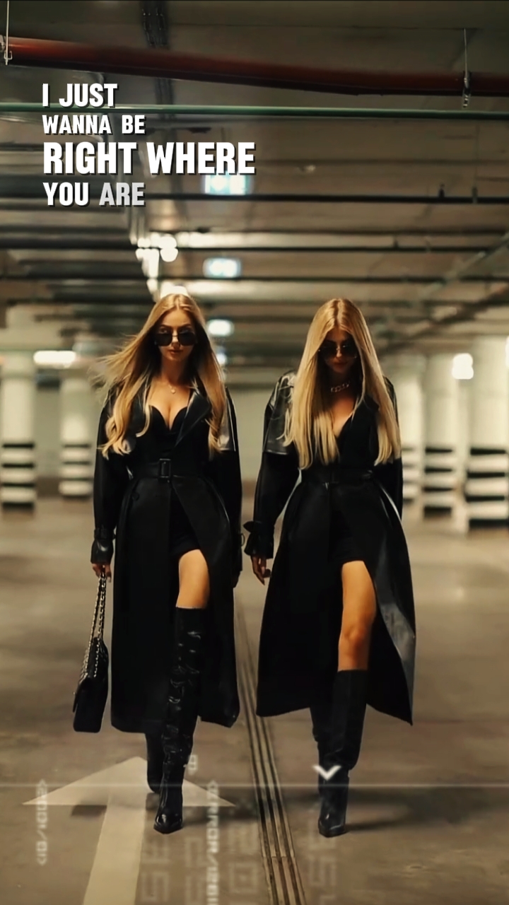 dracula trend