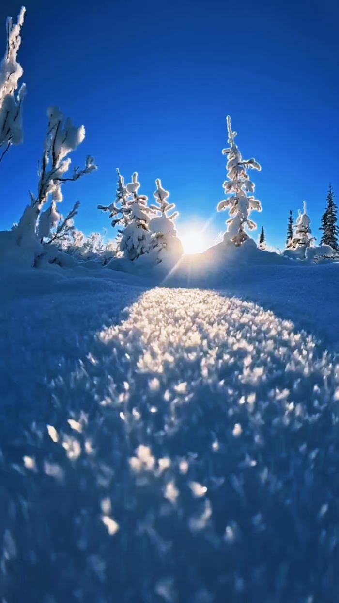 Vibrações De Inverno