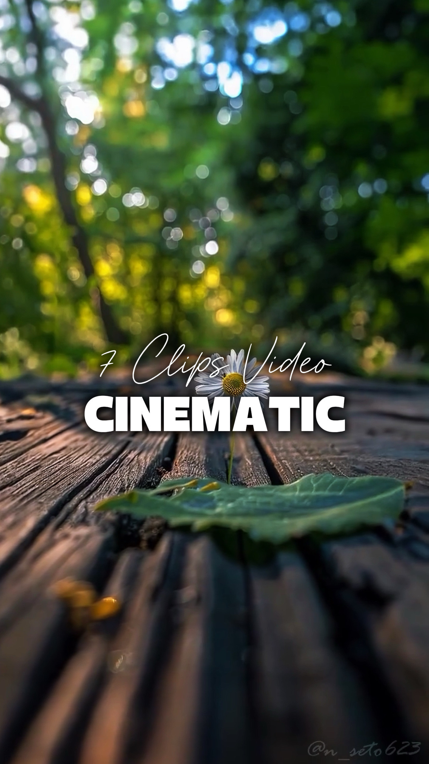7 Videos Cinematic 