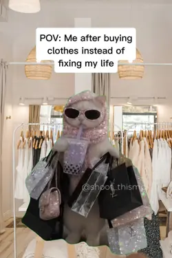 Shopping cat