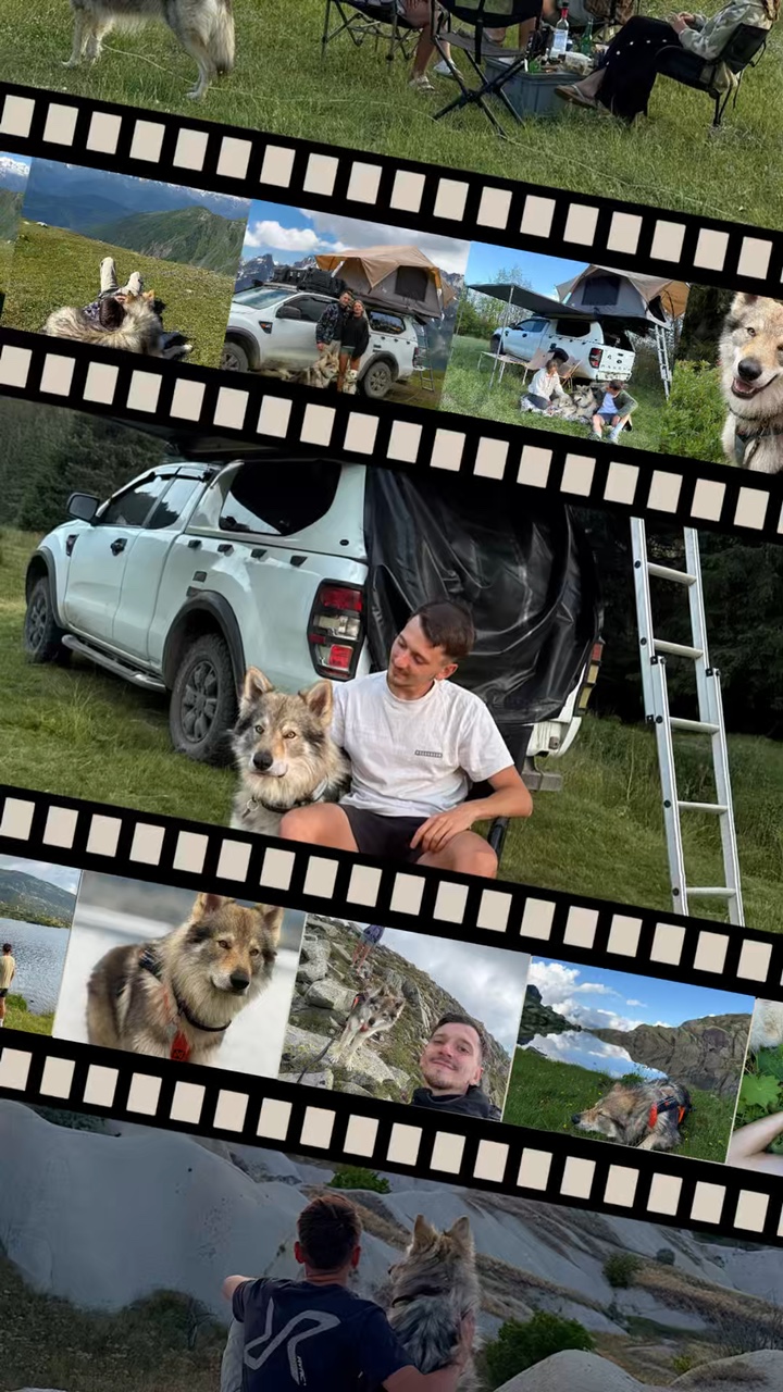 Mein süßer Hund