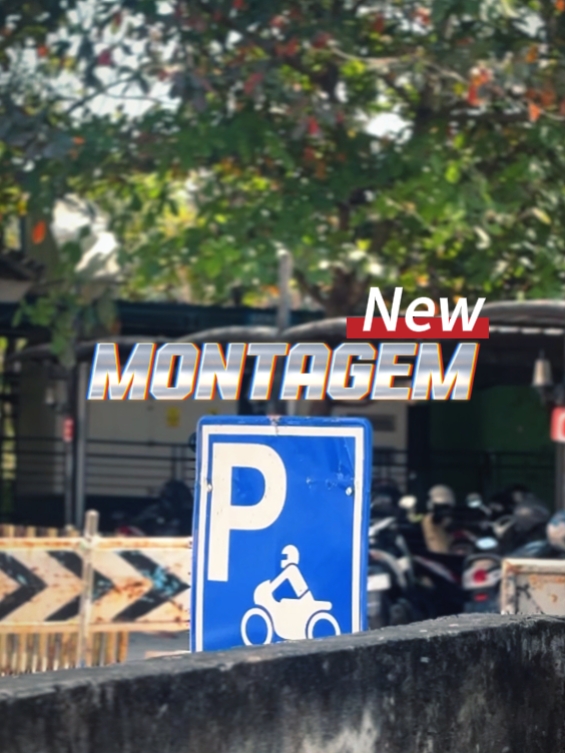 Montagem Guerreiro
