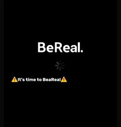 beareal