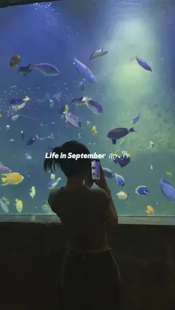Life in Sep