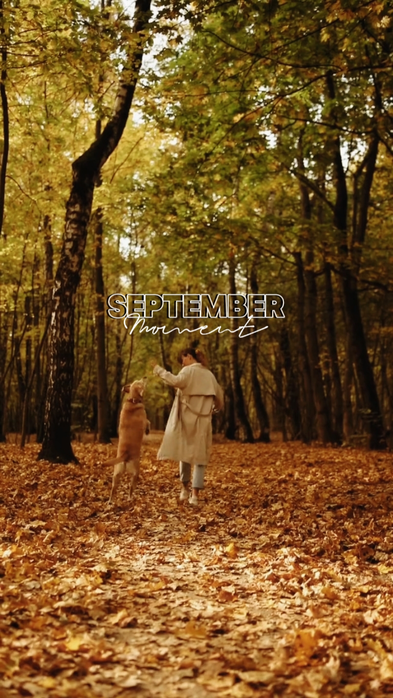 September Moment 