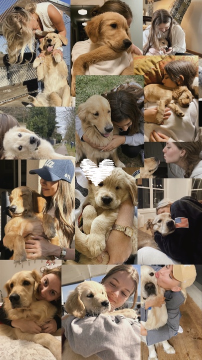My dog bestfriends