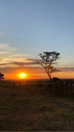 O vaqueiro cavalo 
