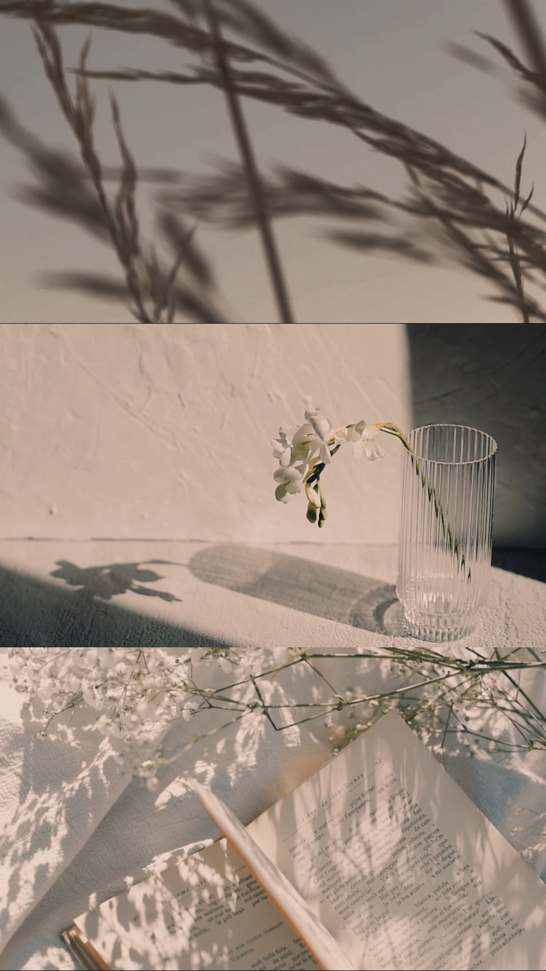 Dulce como una flor
