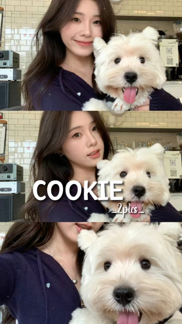 Cookie