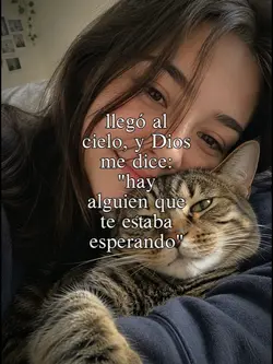 mi mascota 