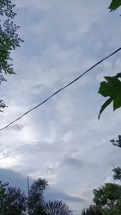 What the clouds carr