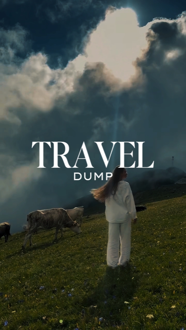 Volcado de viaje