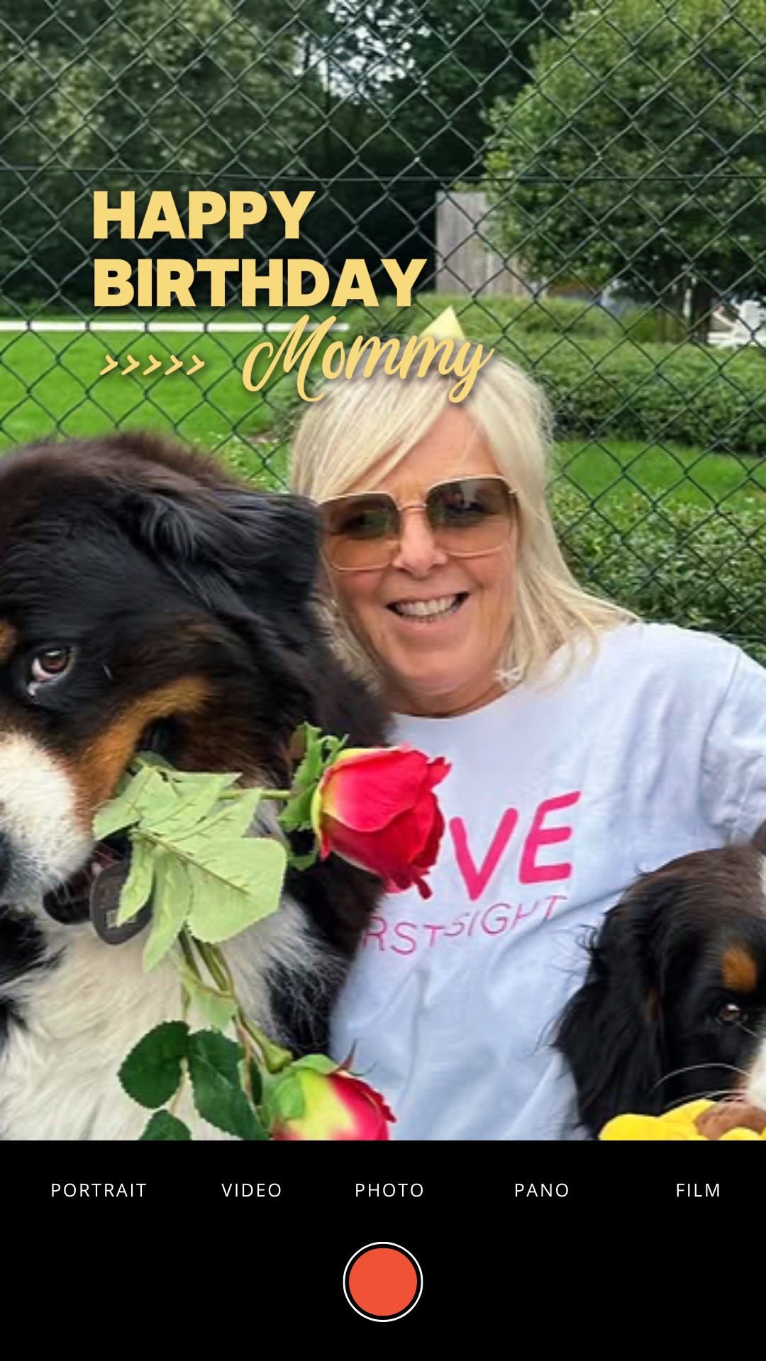 Feliz aniversário mamãe
