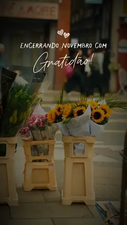 Gratidão Novembro 
