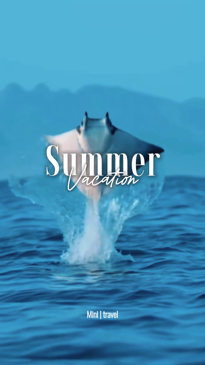 Summer Vacation
