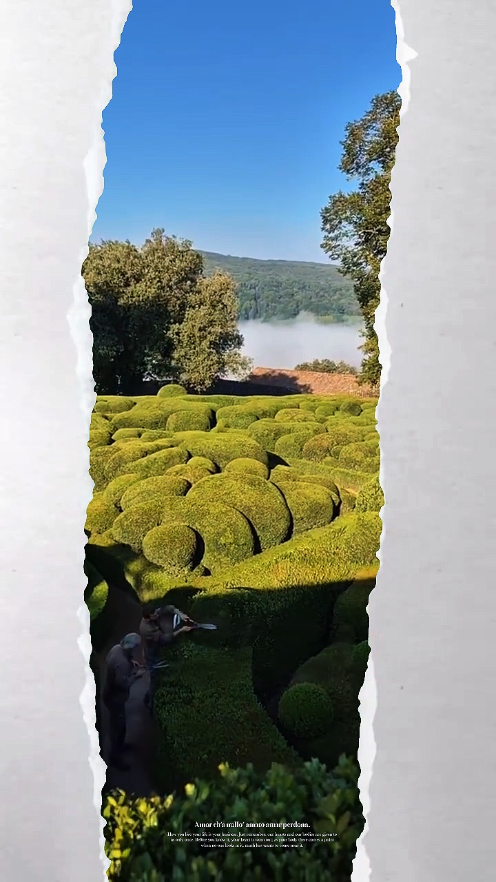 Berkebun