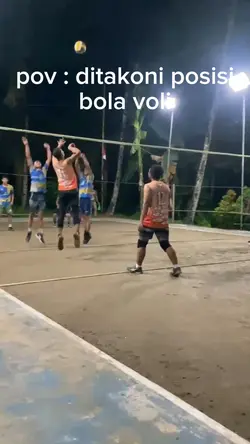 posisi voli