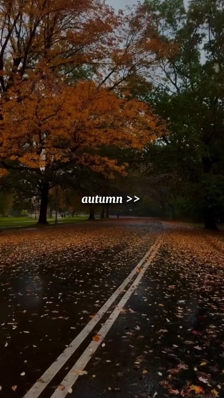 Autumn template🍁🍂
