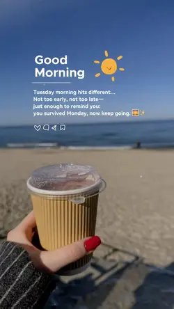 Tuesday Morning 🌞