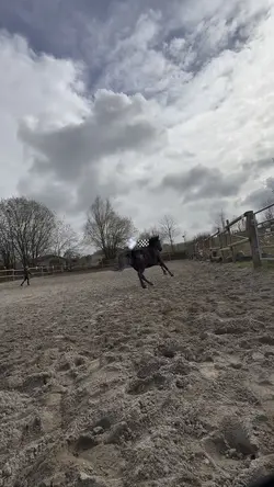 Speed. I am Speed