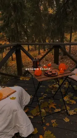 autumn forest