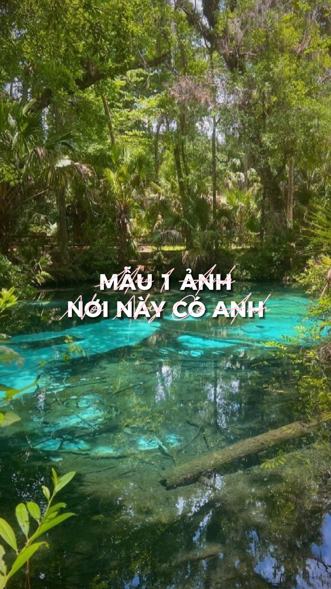 NƠI NÀY CÓ ANH