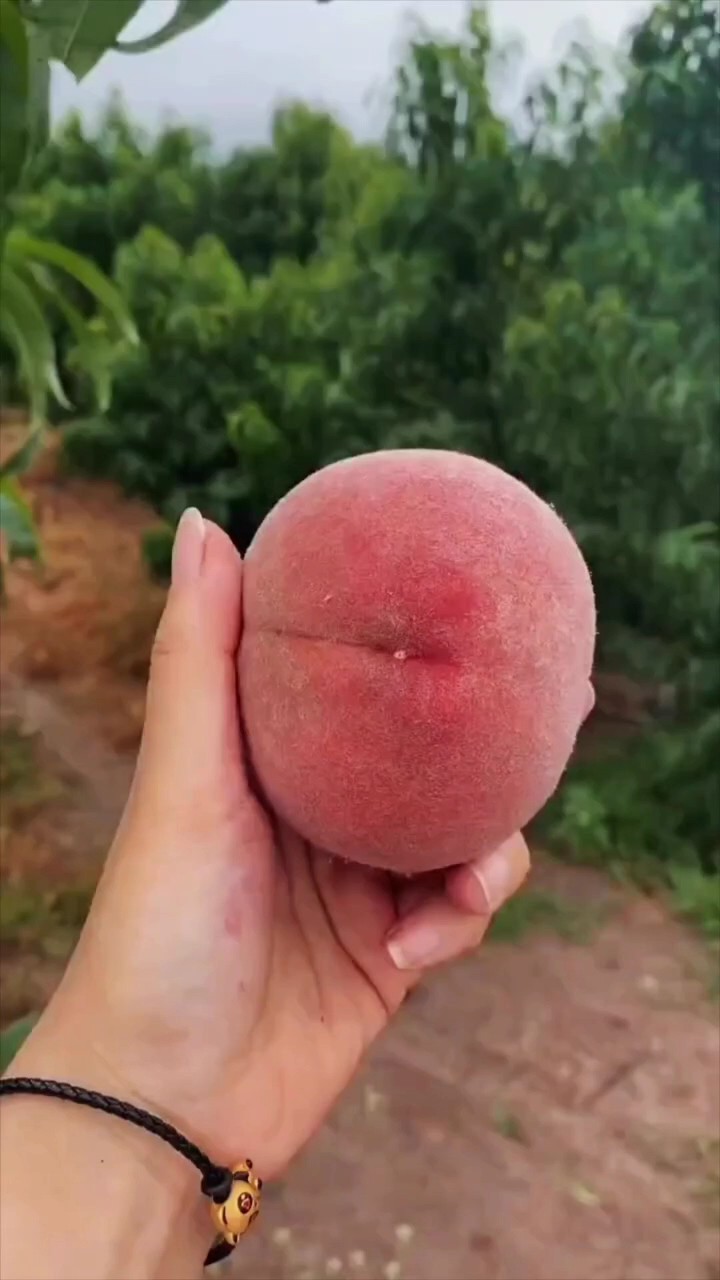 Peach ²⁵