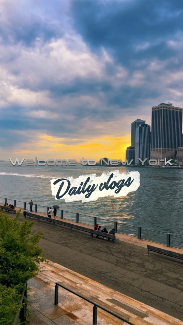 Daily vlogs NY