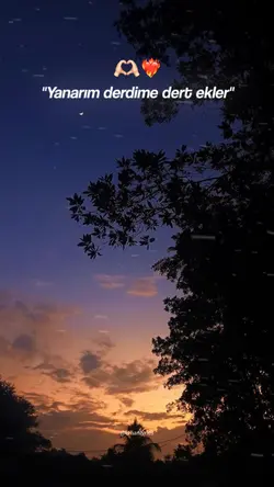 Tiktok / erhanlyrics