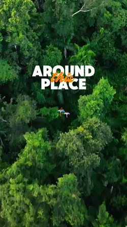 Around this Place