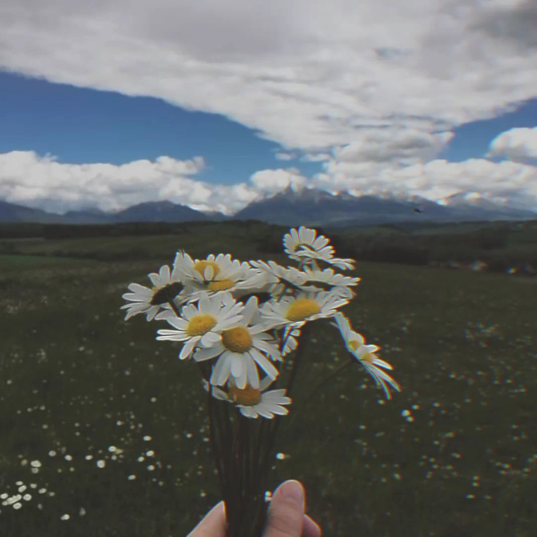 25 foto