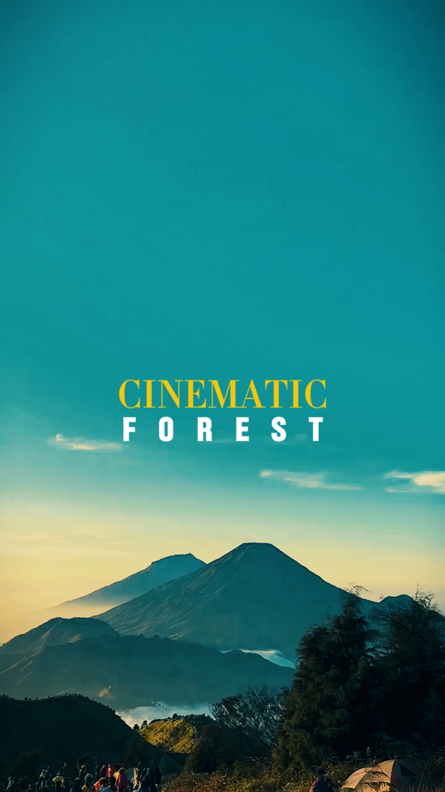 cinematic forest