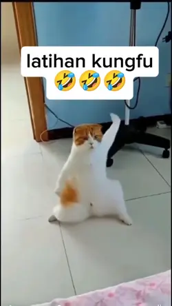 latihan kungfu