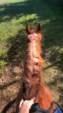 He was movinnn -o