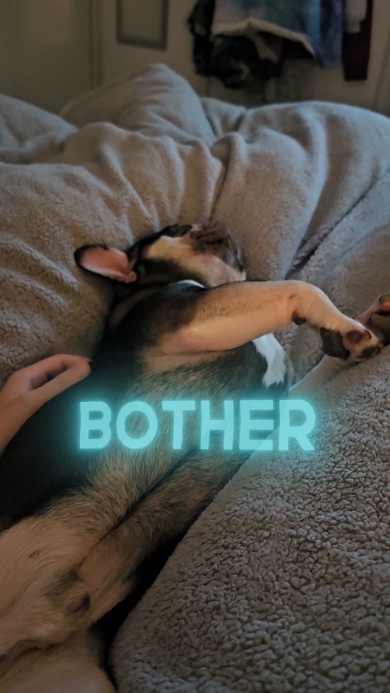 I am in bed today 