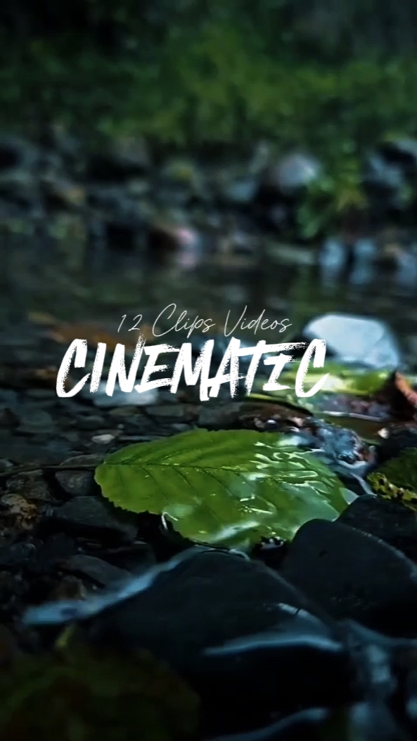 12 Clips cinematográficos 